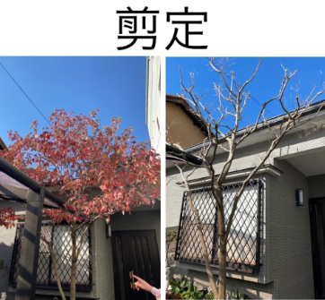 泉佐野市 便利屋 剪定サービス 庭木 手入れ